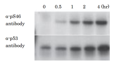 71-115-F2-1.png