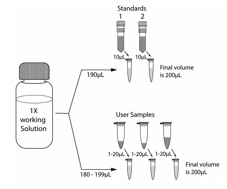 Diagram depicting the correct tubes to place Standards 1 and 2.