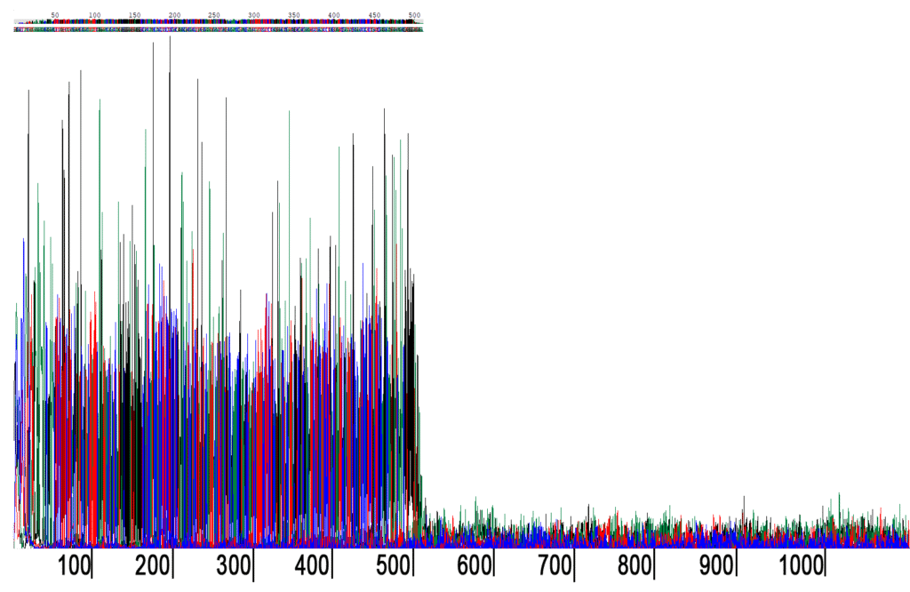 EPG trace ? BigDye reference
