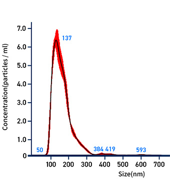 CATAROSEV-001-Diagnocine.jpg