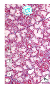 CMountSleeve_4