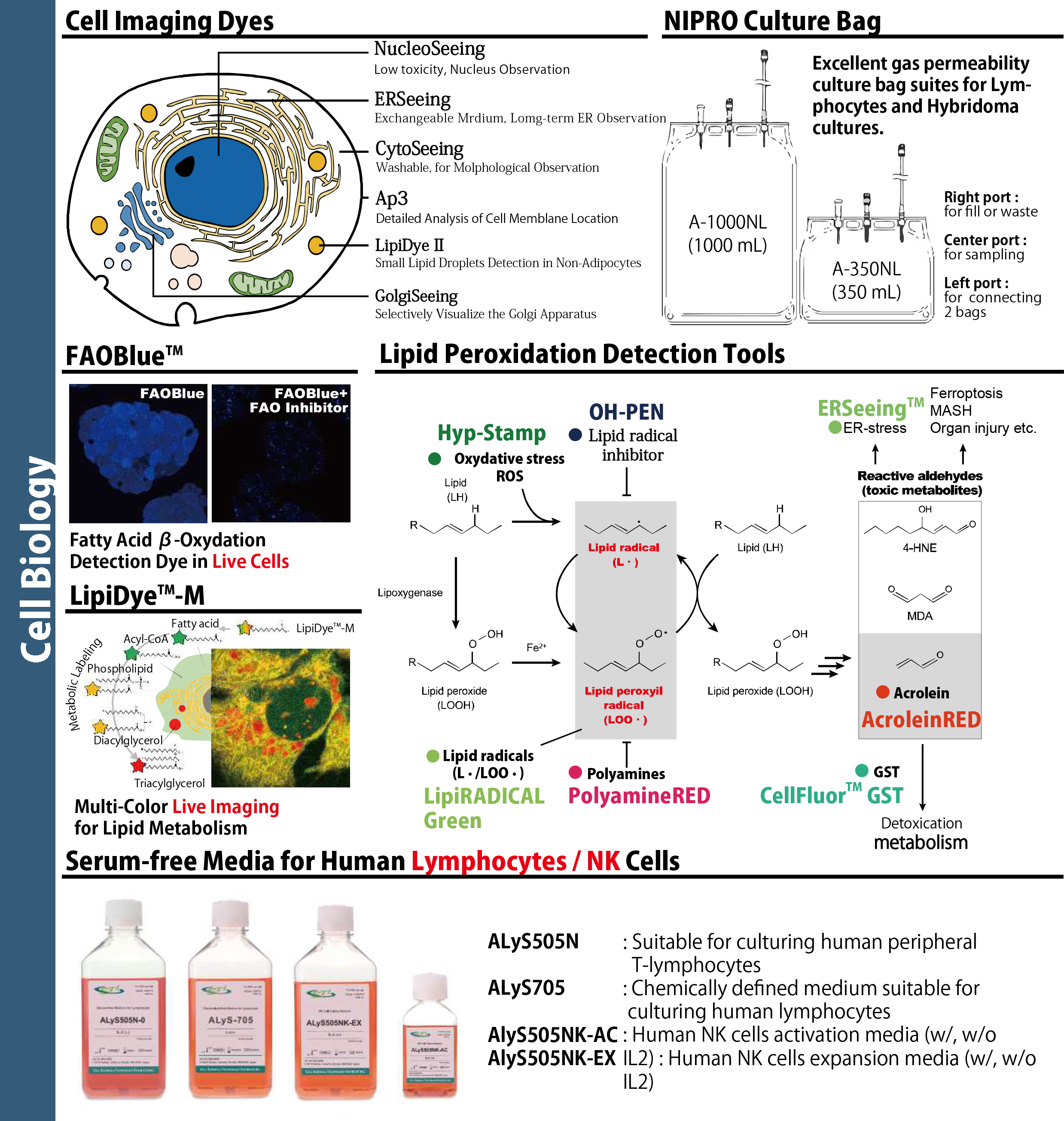 Cancer-Research--CellBio.jpg