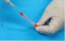 Step 1 of Cell Preservation: removing the Froze Tube.