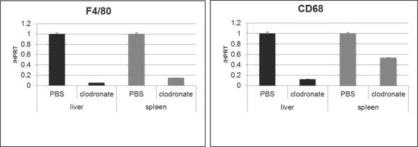 Clodronate_Liposome_2
