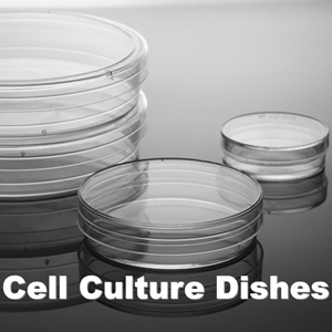 DCM-Dish-Plate-1.jpg
