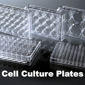 DCM-Dish-Plate-4.jpg