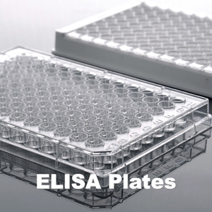DCM-Dish-Plate-5.jpg
