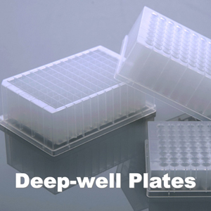 DCM-Dish-Plate-6.jpg
