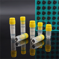 DN62DR_2D_Cryotube-1.jpg