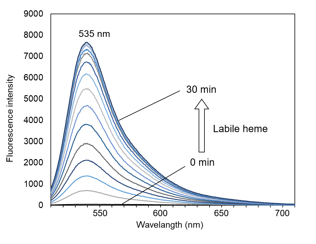 Deacetylated HemeGREEN excitation wavelength.