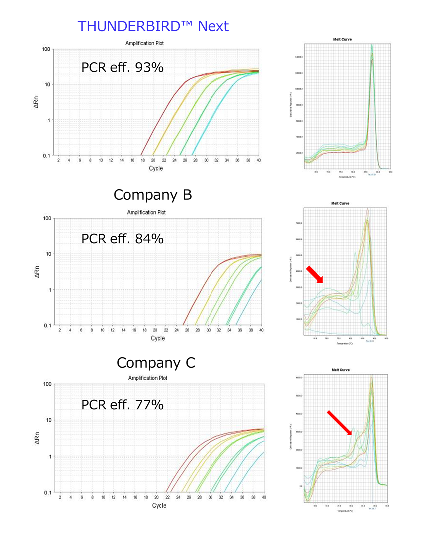 Example 3: specific amplification of 65 bp G3PDH domain