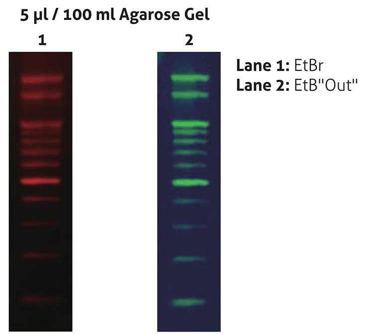EtBOut-Nucleic-Acid-Staining-Solution_FYD010-200P_w740_Diagnocine