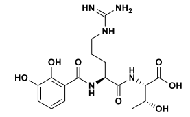 Benarthin (pyroglutamyl peptidase inhibitor)