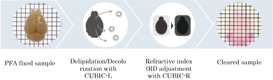  CSCR001