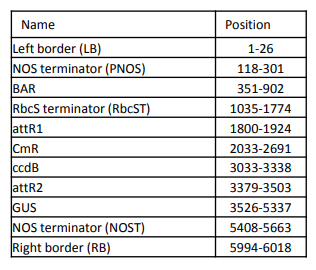 FNK-IN3-VEC16_Fea002_Diagnocine.png