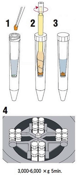 FNK-NIP_80608_BM5.png