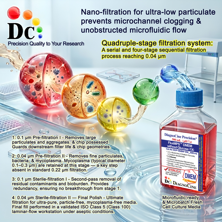 FluxMPS™ Basal Medium Eagle (BME) Family Quadruple-stage filtration system diagram ? two 0.1 micron pre-filtration stages followed by two 0.04 micron sterile-filtration stages, engineered for organ-on-a-chip (OoC), tissue-on-a-chip (ToC), and lab-on-a-chip microfluidic cell culture media applications by Diagnocine.
