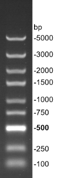 G3361-01-2.png