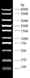 G3362-01-2.png
