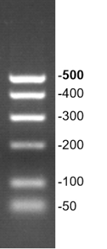 G3365-01-2.png