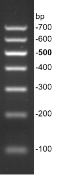 G3366-01-2.png