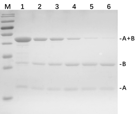 G3410-1000U-3.png