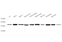 GB11034B-1.png