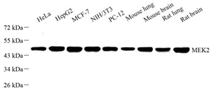 GB111018-2.png