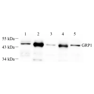 GB112389-1.png