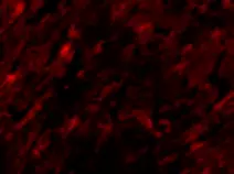 GB112408-8.png
