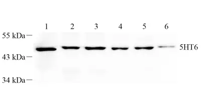 GB112416-2.png