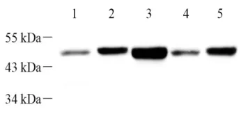 GB112419-3.png