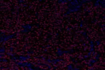 GB112427-9.png