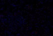 GB112436-12.png