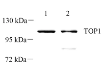 GB112458-4.png