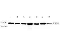 GB112464-2.png