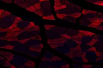 GB112474-5.png
