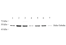 GB112476-2.png