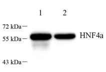 GB112482-2.png