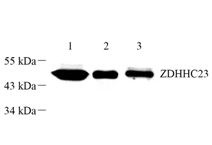 GB112501-2.png