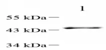 GB112510-2.png