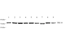 GB112569-2.png
