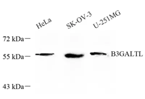 GB113661-1.png