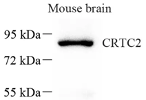 GB113668-1.png
