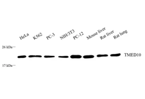 GB113721-1.png