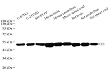 GB11376-1.png