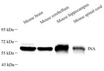 GB113789-1.png