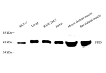GB113797-1.png