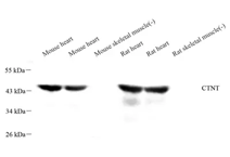 GB113806-1.png
