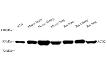 GB113832-1.png